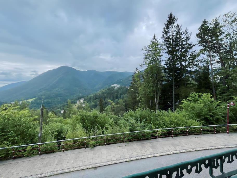 Villa Alexandercharmante Wohnung Mit Bergblick, Villa Alexander Земмеринг Екстер'єр фото