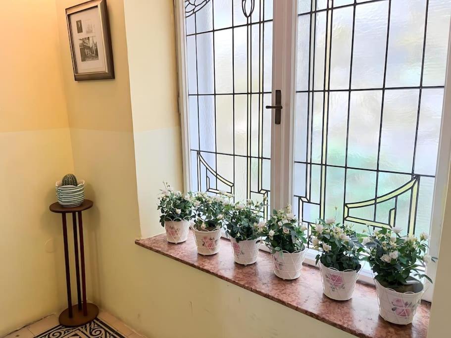 Villa Alexandercharmante Wohnung Mit Bergblick, Villa Alexander Земмеринг Екстер'єр фото